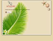 Tablet Screenshot of ancoradourohotel.com.br